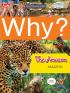 Why?: The Amazon (Amazon)