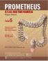 Prometheus: Atlas Anatomi Manusia (Organ Dalam) (Edisi 5)