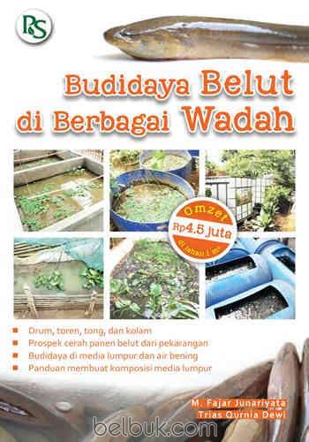 budidaya belut