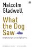 What the Dog Saw: Dan Petualangan-Petualangan Lainnya