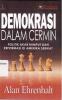 Demokrasi Dalam Cermin: Politik Akar Rumput dan Reformasi di Amerika Serikat