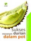Sukses Menanam Durian Dalam Pot